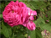 400386c2-Picture 6223.jpg